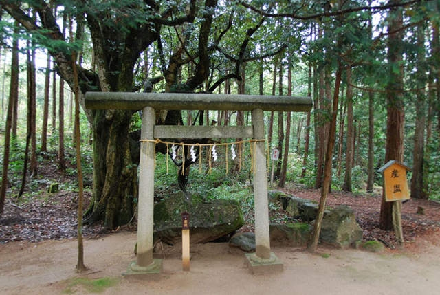 籠神社 奥宮 眞名井神社の写真