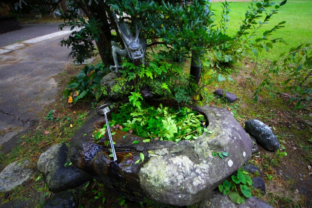 居多神社の写真