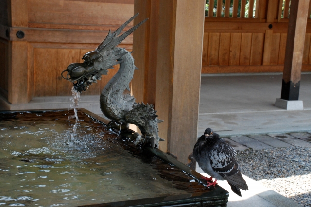 宇都宮二荒山神社の写真