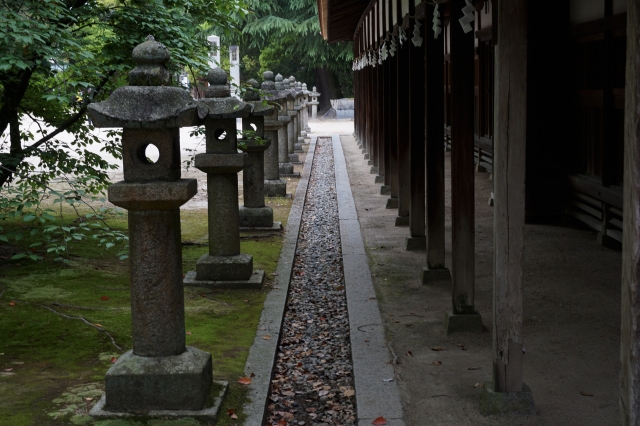 大山祇神社の写真