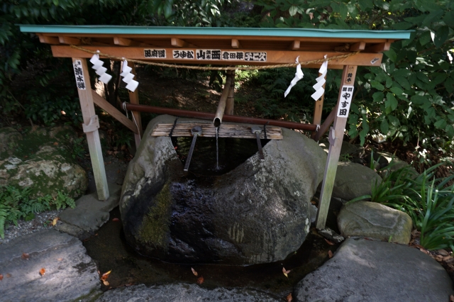 来宮神社の写真