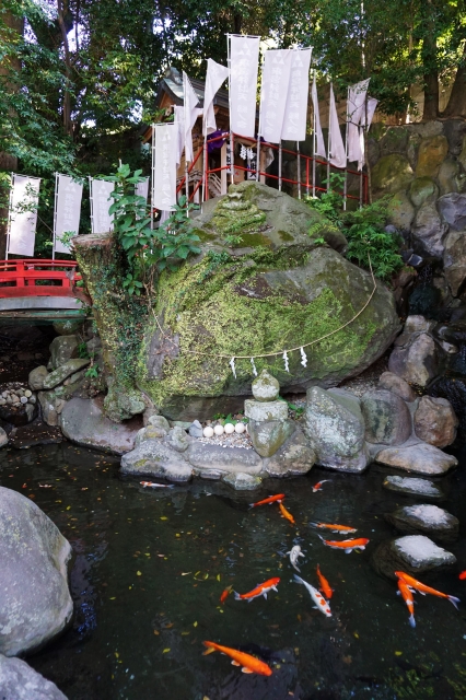 来宮神社の写真