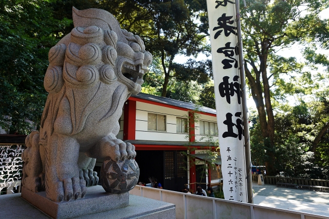 来宮神社の写真