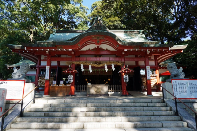来宮神社の写真