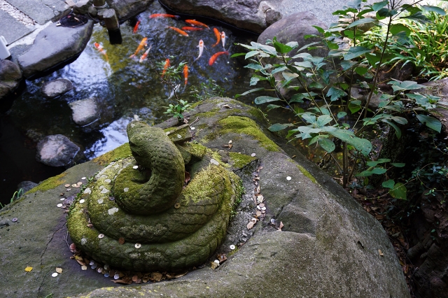 来宮神社の写真