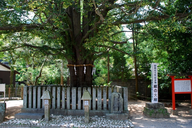 熊野速玉大社の写真