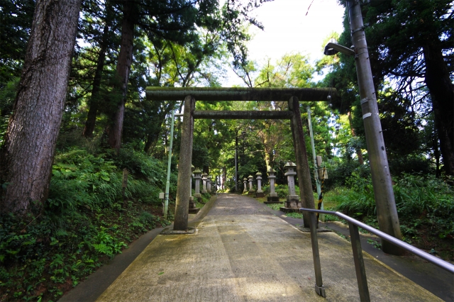 気多神社（高岡市）の写真