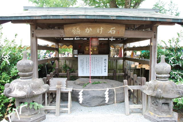 阿蘇神社の写真