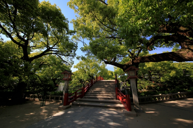 太宰府天満宮の写真