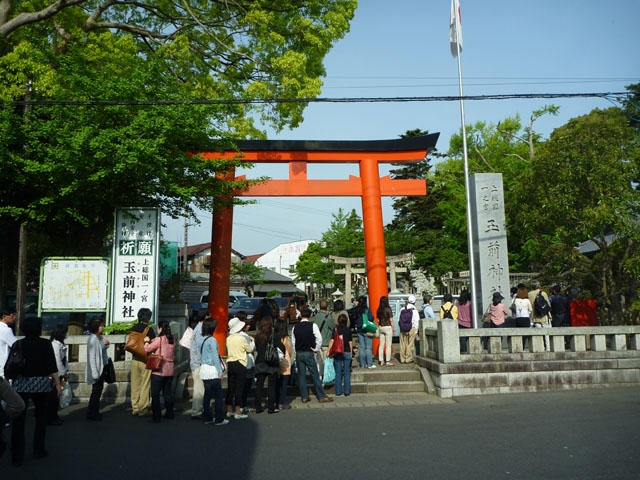 玉前神社の写真