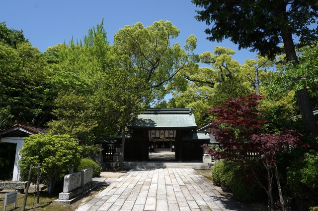 玉祖神社の写真
