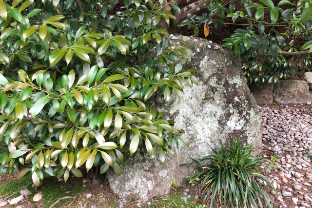 天河大弁財天社/天河神社の写真
