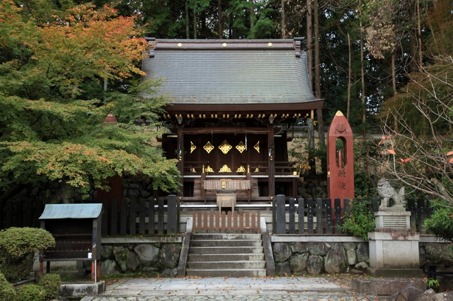 今宮神社の写真