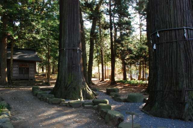 河口浅間神社の写真