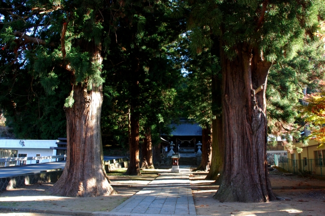河口浅間神社の写真