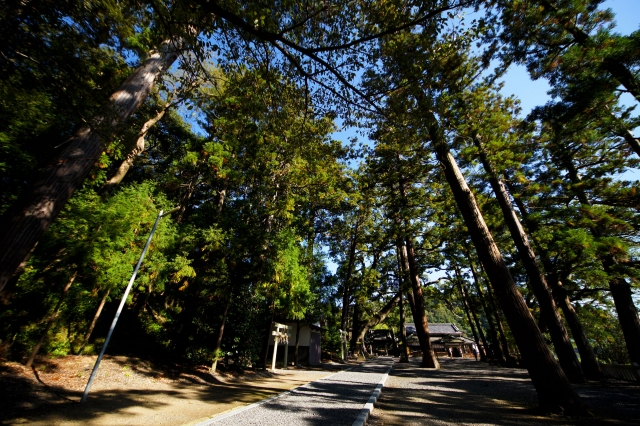 事任八幡宮の写真