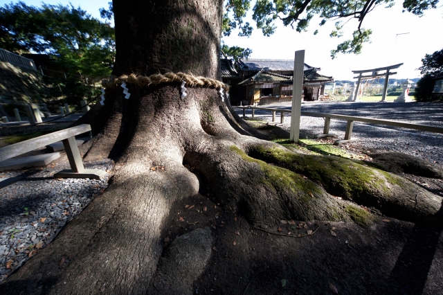 事任八幡宮の写真