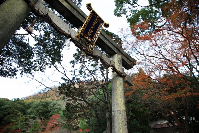 出雲大神宮の写真