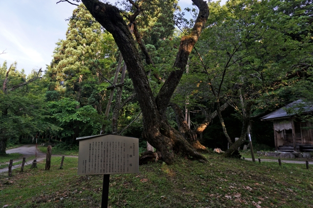 磐椅神社の写真