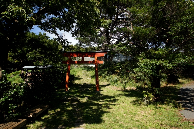 赤神神社　五社堂の写真