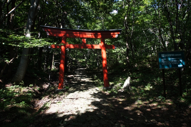 赤神神社　五社堂の写真
