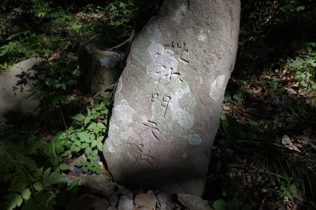 赤神神社　五社堂の写真