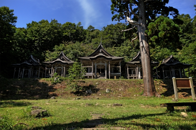 赤神神社　五社堂の写真
