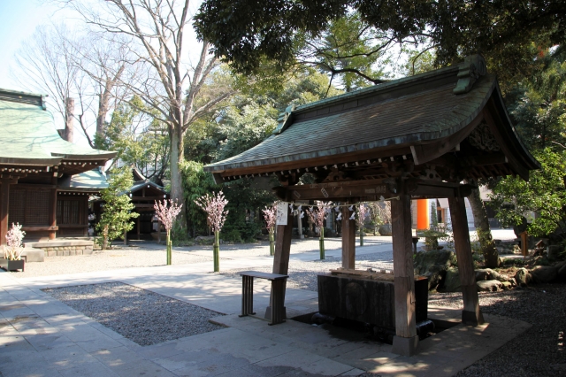 氷川神社 (川越市)の写真