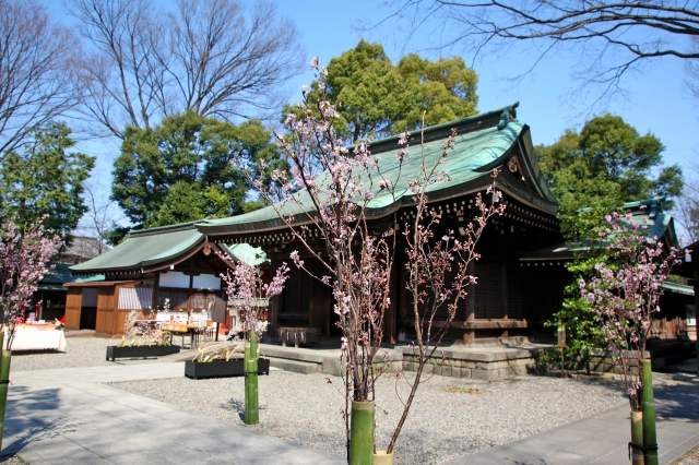 氷川神社 (川越市)の写真