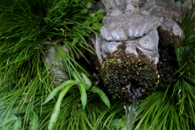 伊那下神社の写真
