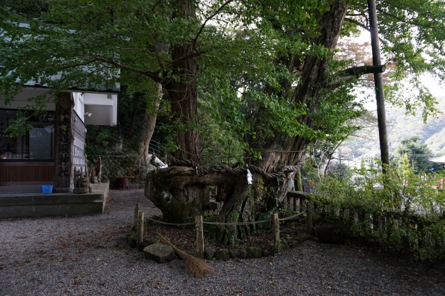 伊那下神社の写真