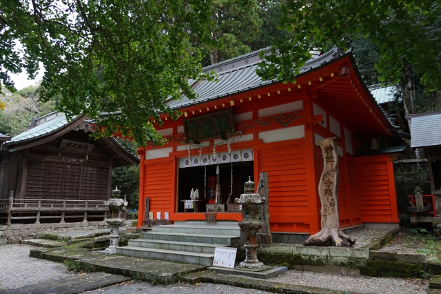 伊那下神社の写真
