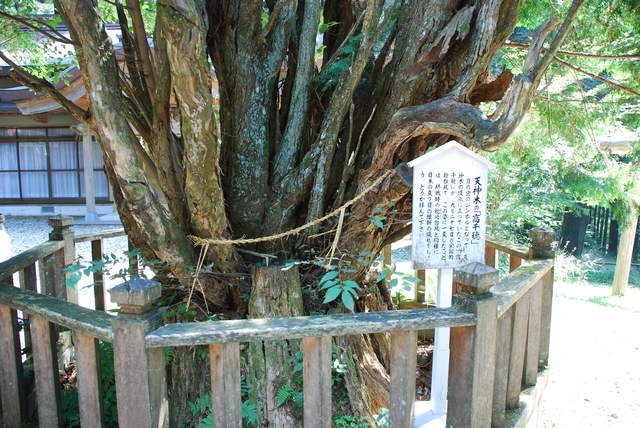 幣立神宮、幣立神社の写真