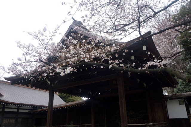 靖国神社の写真