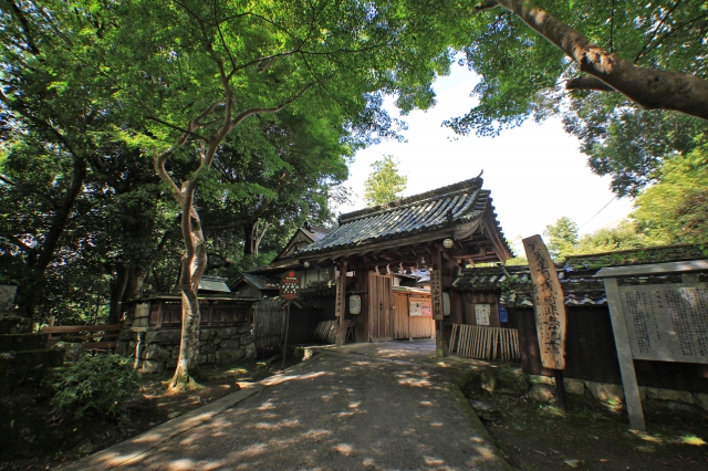 吉水神社の写真