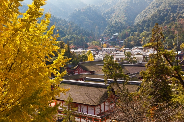 厳島神社の写真