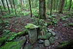 若子神社の写真
