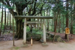籠神社 奥宮 眞名井神社の写真