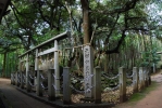 籠神社 奥宮 眞名井神社の写真