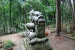 籠神社 奥宮 眞名井神社の写真