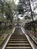 籠神社 奥宮 眞名井神社の写真