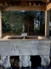 伊和神社の写真