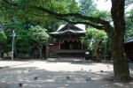宇都宮二荒山神社の写真