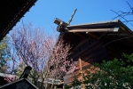 ときわ台天祖神社の写真
