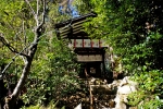 宝登山神社の写真