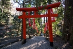 宝登山神社の写真