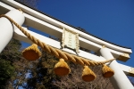 宝登山神社の写真