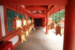 春日大社の写真