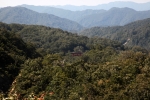 湯殿山神社の写真