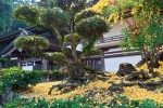 吉備津神社の写真